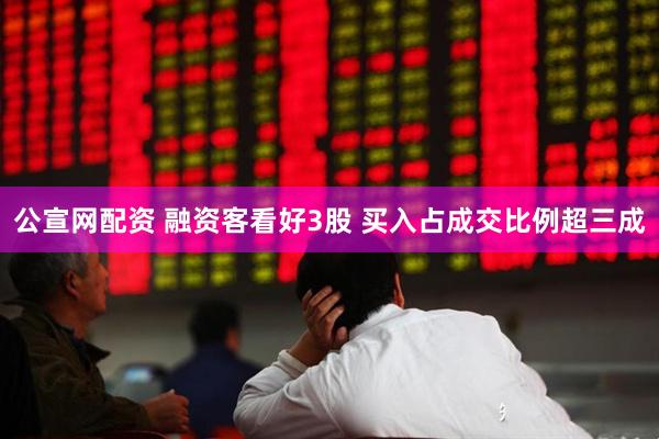 公宣网配资 融资客看好3股 买入占成交比例超三成