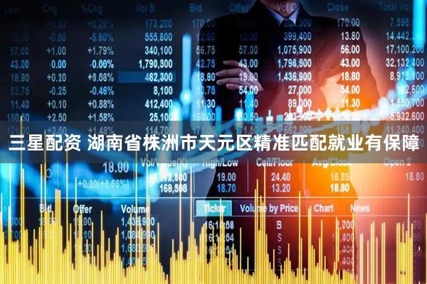 三星配资 湖南省株洲市天元区精准匹配就业有保障