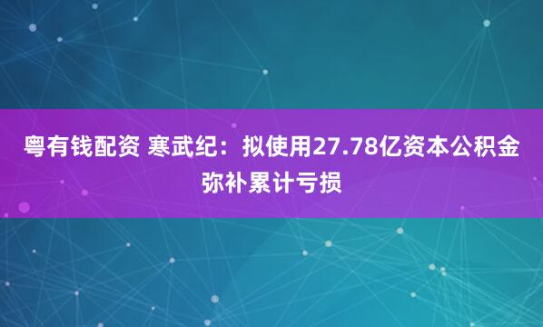 粤有钱配资 寒武纪:拟使用27.78亿资本公积金弥补累计亏损