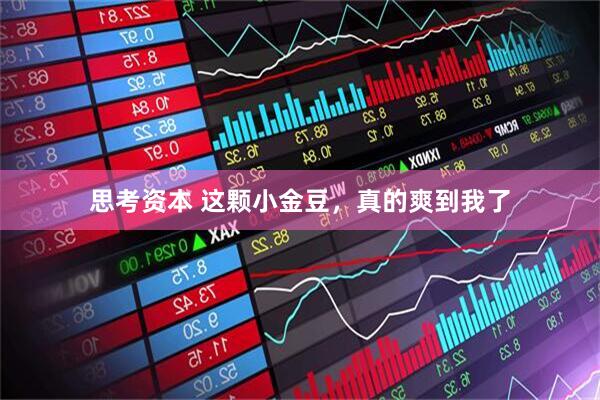 思考资本 这颗小金豆，真的爽到我了
